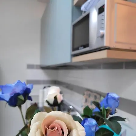 Casa Fiori Blu - 公寓 *