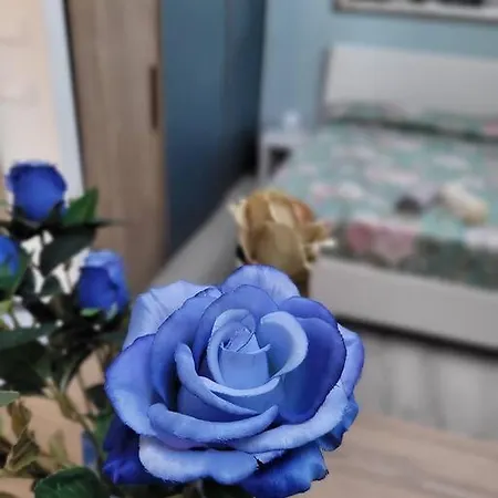 公寓 Casa Fiori Blu - *